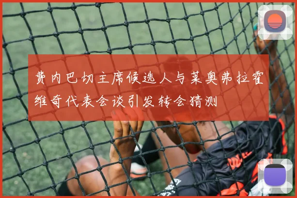 费内巴切主席候选人与莱奥弗拉霍维奇代表会谈引发转会猜测