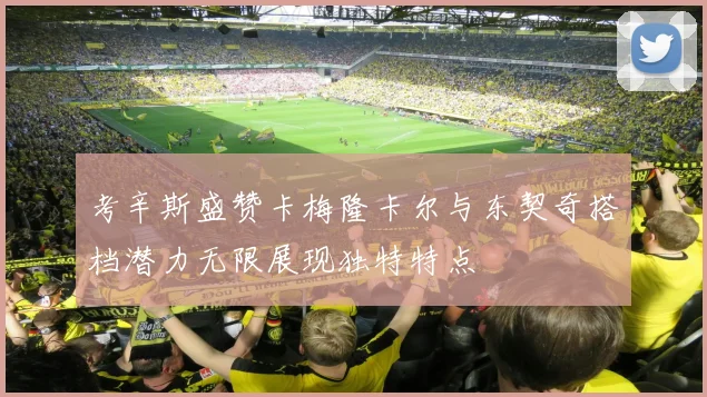考辛斯盛赞卡梅隆卡尔与东契奇搭档潜力无限展现独特特点